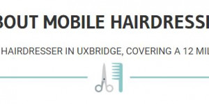 Heading with a description and a separator with an image set to show underneath the title and description.